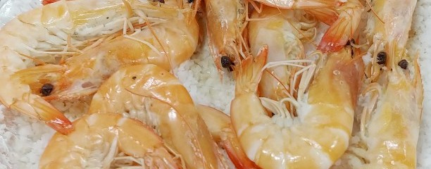 광어두마리