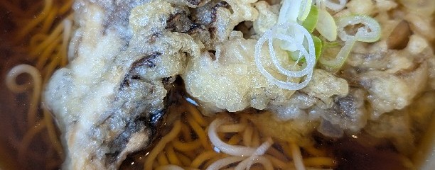 峠の釜めし おぎのや 軽井沢駅売店 しなのそば売店