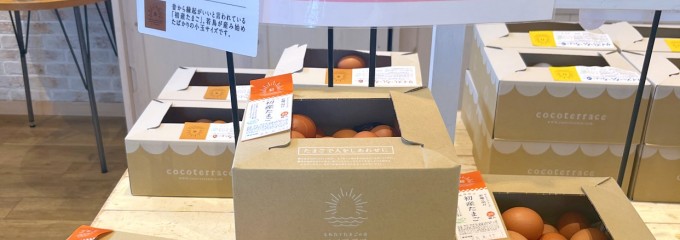 ココテラス