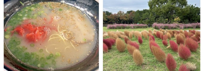 国営公園 海の中道海浜公園