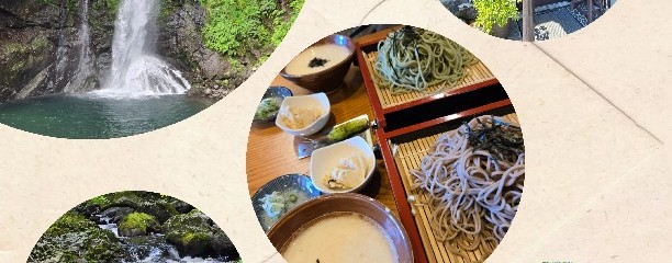 だるま茶屋