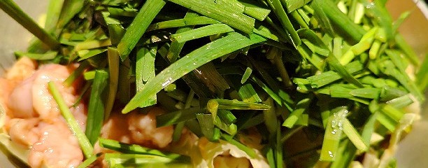 もつ鍋楽天地ヨドバシ