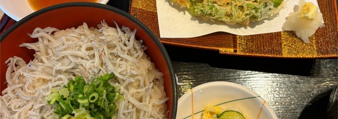 まるごと駿河湾