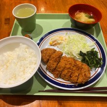 mocotaroさんの写真