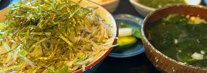 芝文