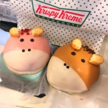 yoshibeiさんの写真