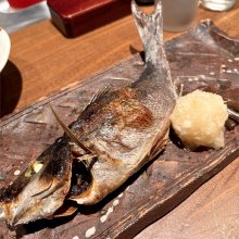 七代目 寅の写真