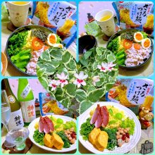 kyoyasagaさんの写真
