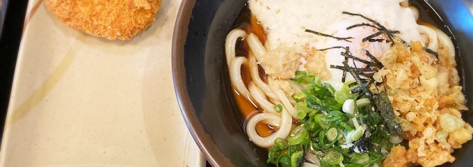 黒潮うどん