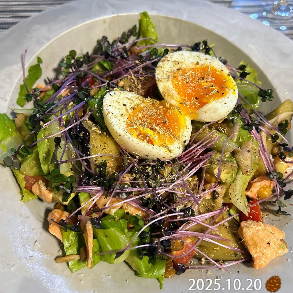 おはようございます\(//∇//)\
ここ数日、外食続きでしたので、昨夜はおうちご飯
珍しく出歩くタイミングは微妙な雨☂️
季節の移ろいを感じる朝晩の冷え
パワーサラダ
Insalata di salmone, lattuga romana, avocado, melanzane, funghi, uova, pomodorini, lenticchie, germogli
オリーブオイル、赤ワインヴィネガー、塩胡椒、仕上げにフェンネルシードを削って頂きます