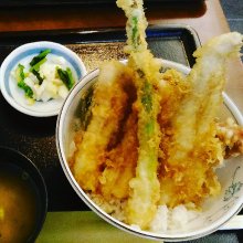 monotoneさんの写真