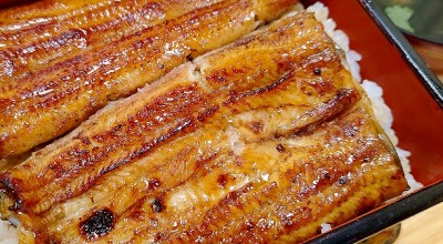 うなぎ 浜松家 新宿 代々木 大久保 東京 うなぎ どじょう