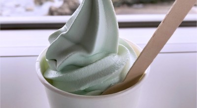 城崎マリンワールド カフェ レストラン テラス 兵庫県北西部 城崎温泉 和食 その他