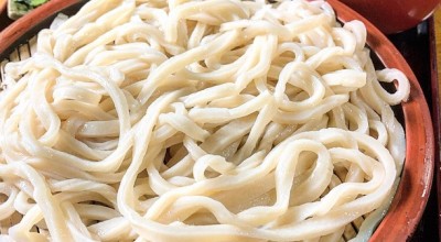 ますや うどん店 多摩 府中 立川 八王子 東村山 うどん