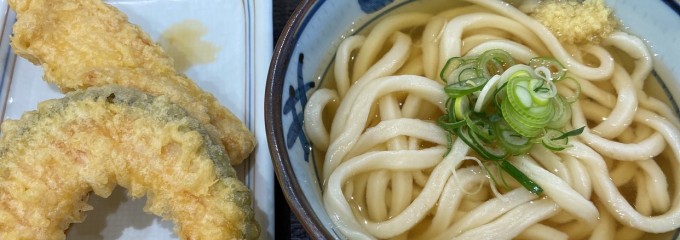 宮武讃岐うどん 橋本アリオ店