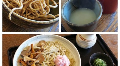 蕎麦処 乾 岸和田 河内 大阪南部 藤井寺 そば