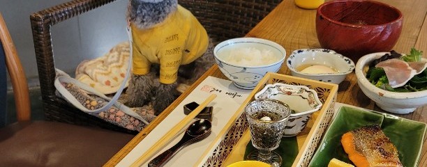 湯富里の宿　一壺天