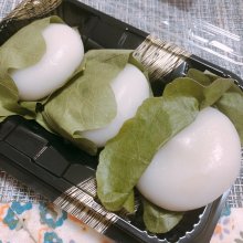 shinchiyanさんの写真