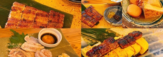 炭火で鶏と鰻 せんゆう