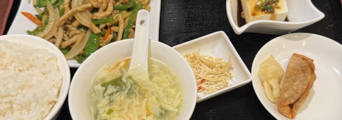 熱烈的中華 四川菜園 名駅店