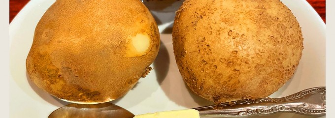 ボンディ 神保町本店