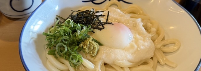 手打草部うどん のらや 深江橋店