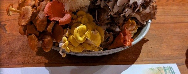 きのこ料理 創士庵