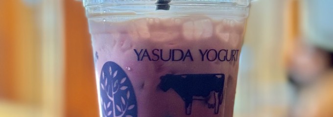Y&Y GARDEN ツリーバザール