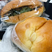 moshireticさんの写真