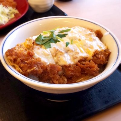 かつや 愛知小牧南インター店 小牧口駅 丼もの