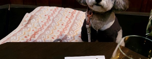 川上庵 麻布十番店