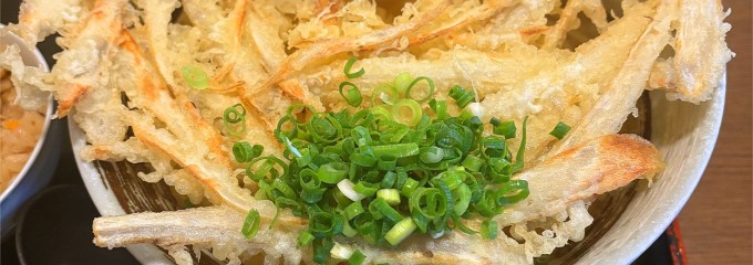 練り込みうどん「権」