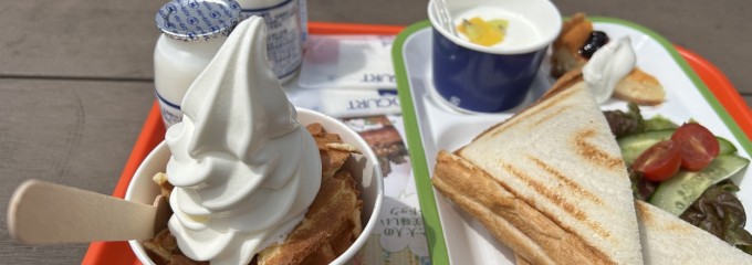 Y&Y GARDEN ツリーバザール