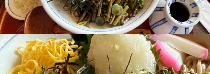 寿寿孝