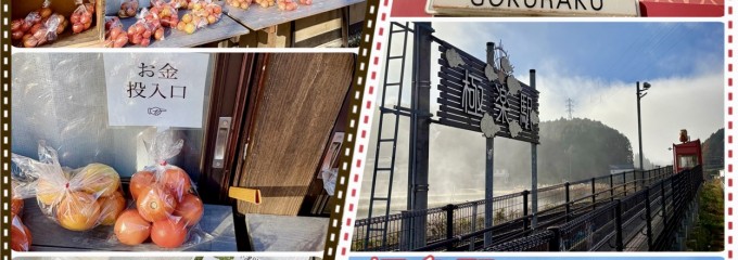 イロドリベース