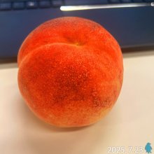ishiusuさんの写真