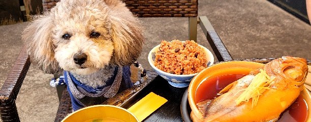 木更津KiSARA（キサラ）