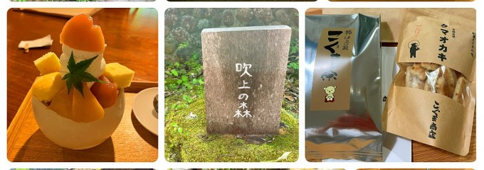 吹上の森