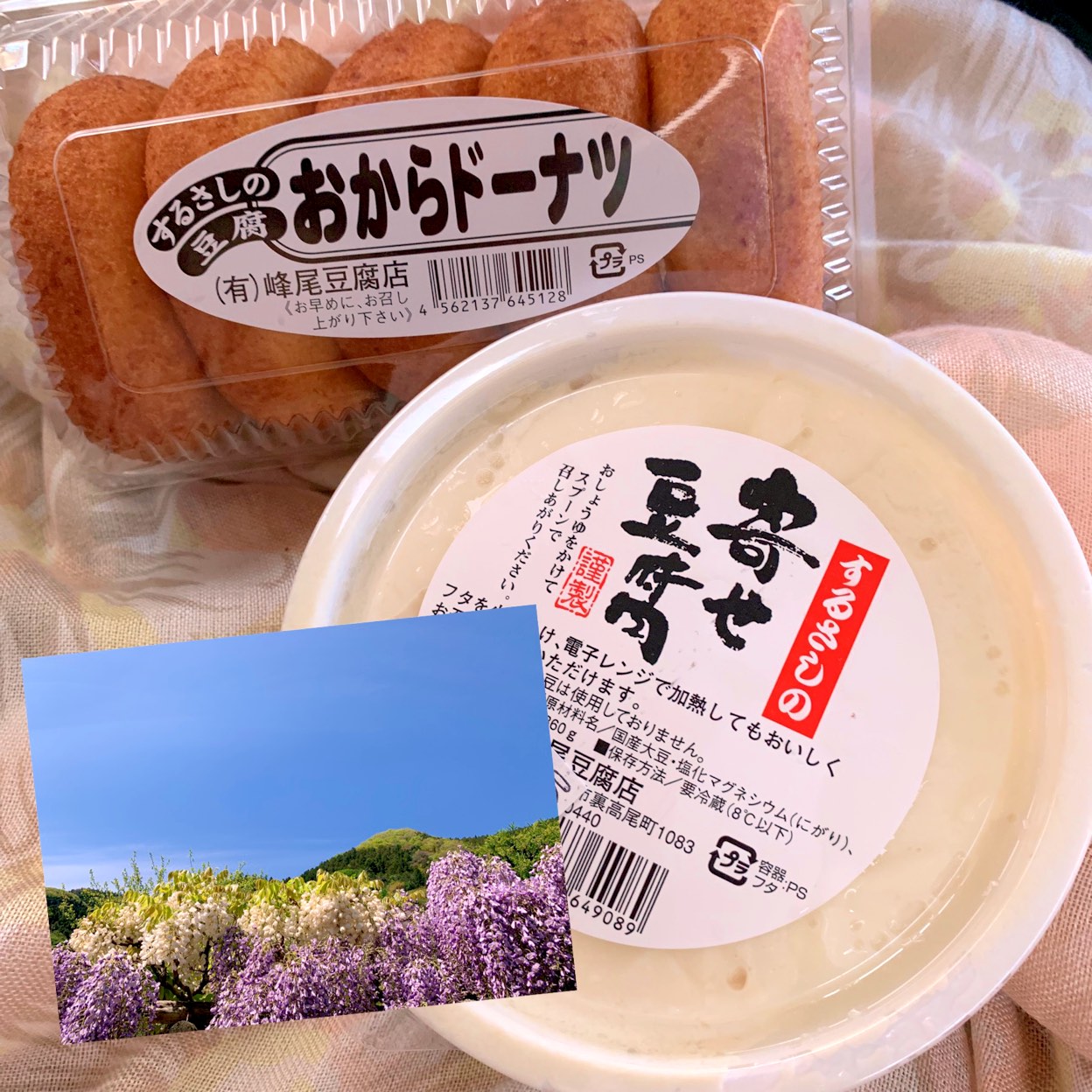 活動歴および当時の関連ビジュアル記録