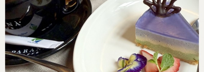 Pane e Vino Italian Restaurant & Wine Shop - Opera House