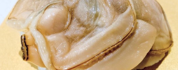 はま寿司  ウィラ大井店