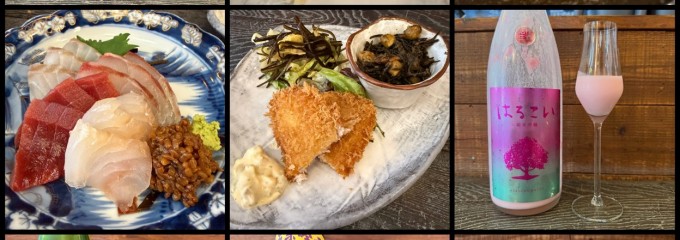 サカナノミライ