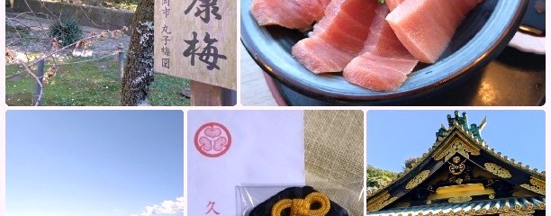 清水港魚河岸 漁師めし 岸家