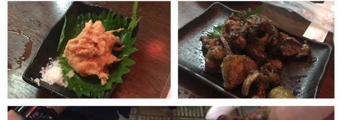 宮崎の地鶏トロモモ 天満店