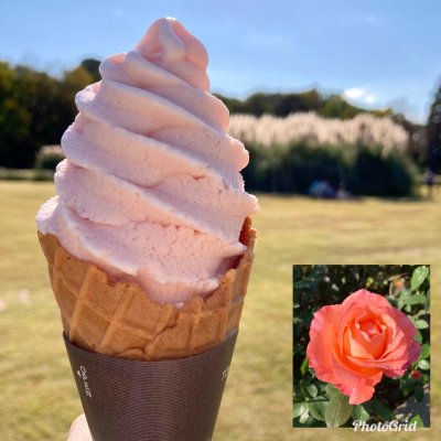 神代植物公園 スイーツ その他