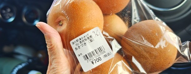 道の駅 津かわげ