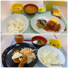 jun617motoiさんの写真