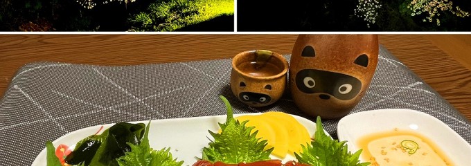 馬坂川桜並木