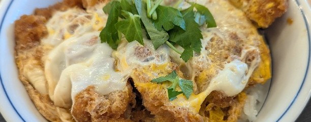 かつや 愛知小牧南インター店