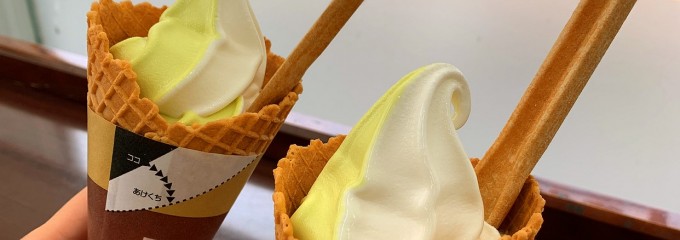 ミニストップつくば東新井店